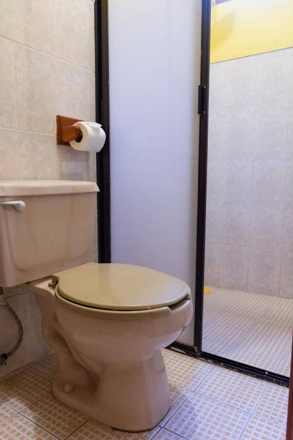 Hotel Del Parque Naolinco de Victoria Ngoại thất bức ảnh